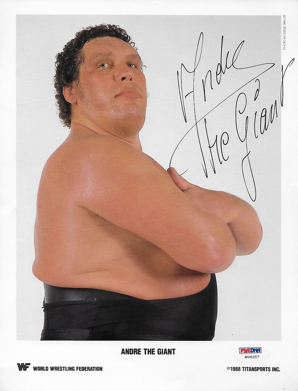 Andre The Giant Autograph Replica Poster