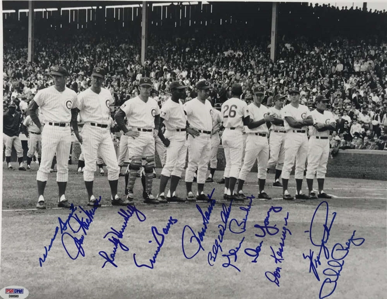 1969 Cubs Multi-Signed 11" x 14" Photograph w/ Banks, Williams, Jenkins, & Others (PSA/DNA)