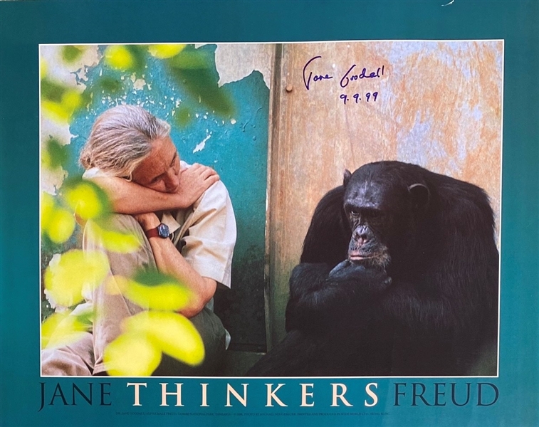 Jane Goodall Rare Signed & Dated 16" x 20" Color Photo (Beckett/BAS Guaranteed)
