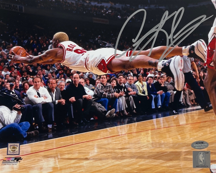 Dennis Rodman Signed 8" x 10" Chicago Bulls Dive Photograph (Schwartz Sports)