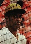 Roberto Clemente Stunning Signed 8.5" x 10" Color Pittsburgh Pirates Image (JSA)