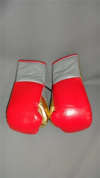 Creed: Andre Ward Screen Worn Boxing Gloves as "Stuntman Danny Wheeler" (MGM LOA)