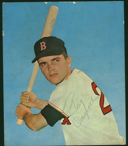 Tony Conigliaro Signed 8" x 9" Color Over-Sized 1969 Postcard (PSA/DNA)