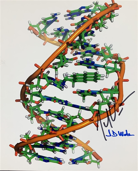 DNA Pioneers: James Watson & Craig Venter Rare Dual Signed 8" x 10" Color Photo (Beckett/BAS)