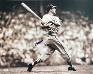 Stan Musial Signed 16" x 20" Photo (PSA/DNA)