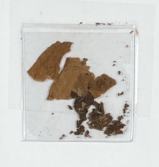 Ulysses S. Grant: Significant Remnants of his Las Palmas Cigar Taken From His Last Box (University Archives)