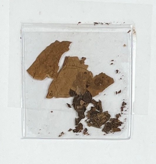 Ulysses S. Grant: Significant Remnants of his Las Palmas Cigar Taken From His Last Box (University Archives)