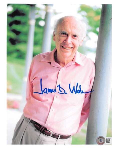 The DNA Double Helix: James D. Watson Rare Signed 8" x 10" Color Photo (Beckett/BAS Encapsulated)