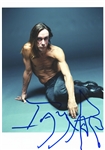 Iggy Pop In-Person Signed 7” x 10” Photo w/ Right-Handed Autograph (Third Party Guaranteed)