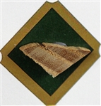 Babe Ruth 19 x 20 Custom Matted Game-Used Baseball Bat Piece Red Sox Display (PSA)