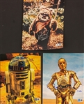 Star Wars Lot of Ten (10) Signed 8 x 10 Photos w/ Prowse, Mayhew, Bulloch & More! (Beckett/BAS)