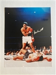 11x14 Muhammad Ali Signed Photo – JSA 