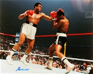 Muhammad Ali Signed 16" x 20" Color Photo (Beckett/BAS LOA)